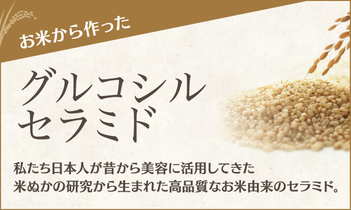 お米から作ったグルコシルセラミド