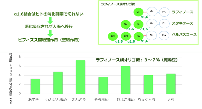 豆類に含まれる難消化性オリゴ糖と含有量