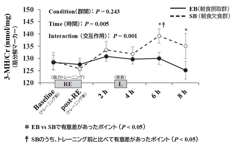 年齢と骨量の変化