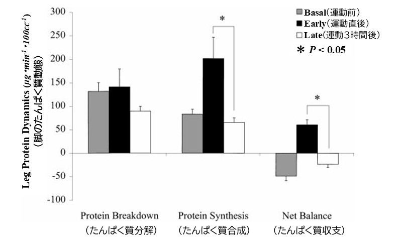 筋たんぱく質の合成は、運動直後に栄養源をとった方が多い