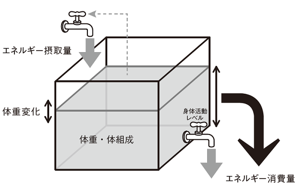 エネルギー出納バランスの基本概念