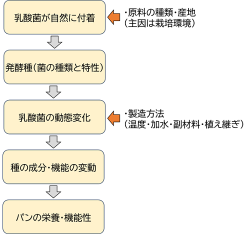 環境要因とサワー種の特性の関係