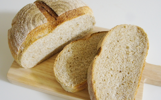 サワーブレッドの栄養機能特性について