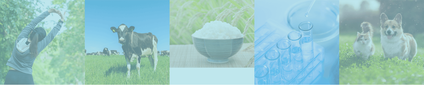 背景画像