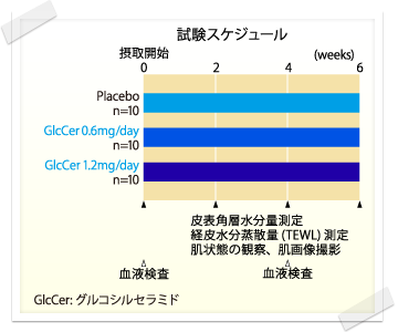 試験スケジュール