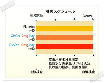 試験スケジュール