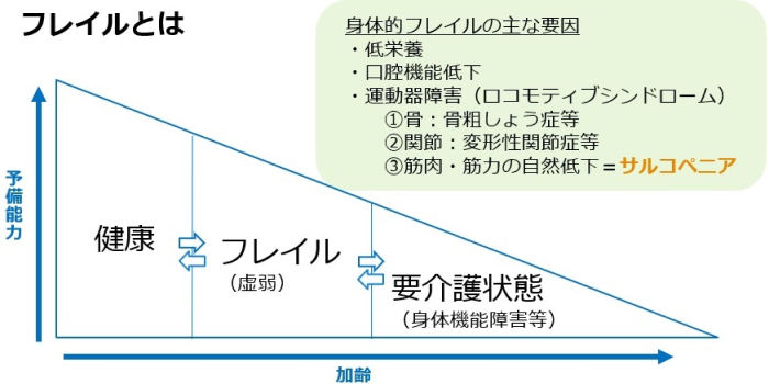 「フレイル(虚弱状態)」の主な原因について