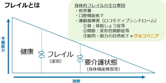 「フレイル（虚弱状態）」の主な原因について