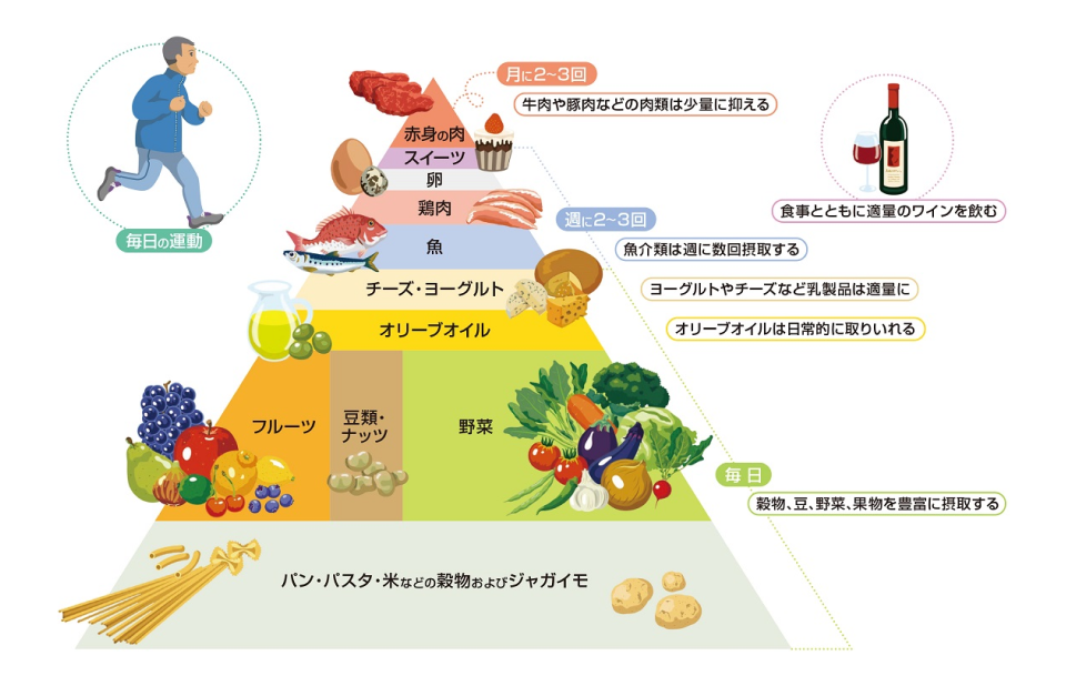 オリーブ果実に秘められた力 出典:Am J Clin Nutr 1995;61(suppl):1402s-6s を改変