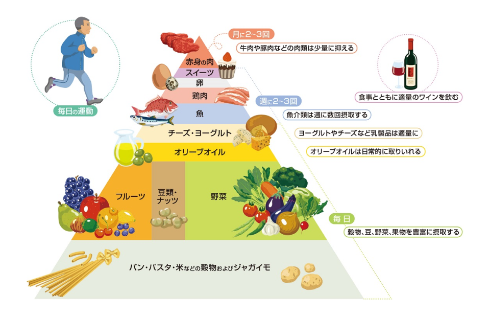 オリーブ果実に秘められた力　出典：Am J Clin Nutr 1995;61(suppl):1402s-6s を改変