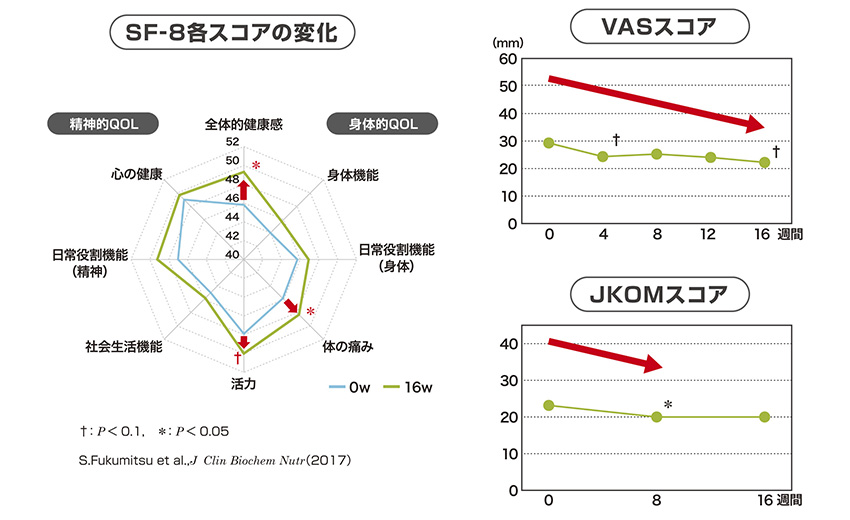 ヒト臨床試験のスコア表一覧