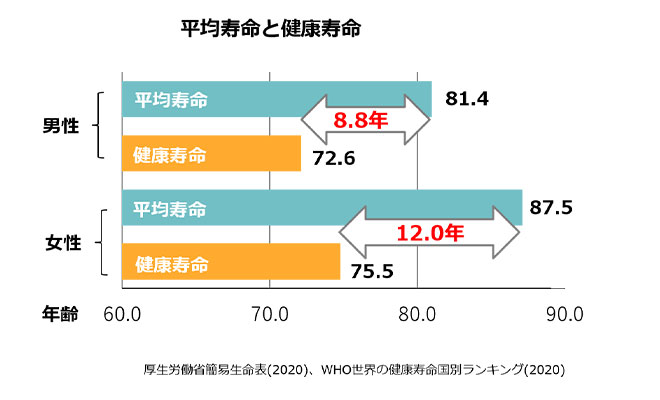グラフ:アマニの成分組成
