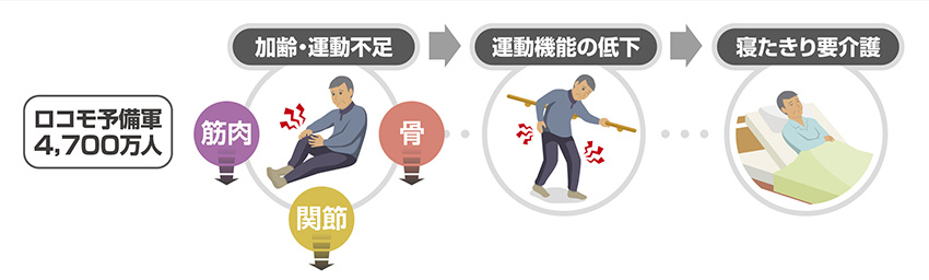 ロコモティブシンドロームの概念