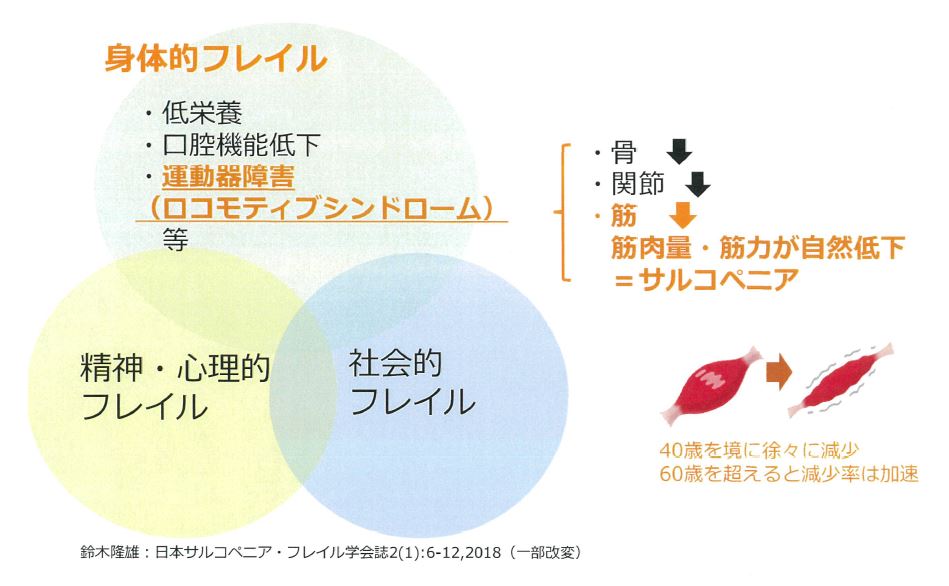 フレイル3要素