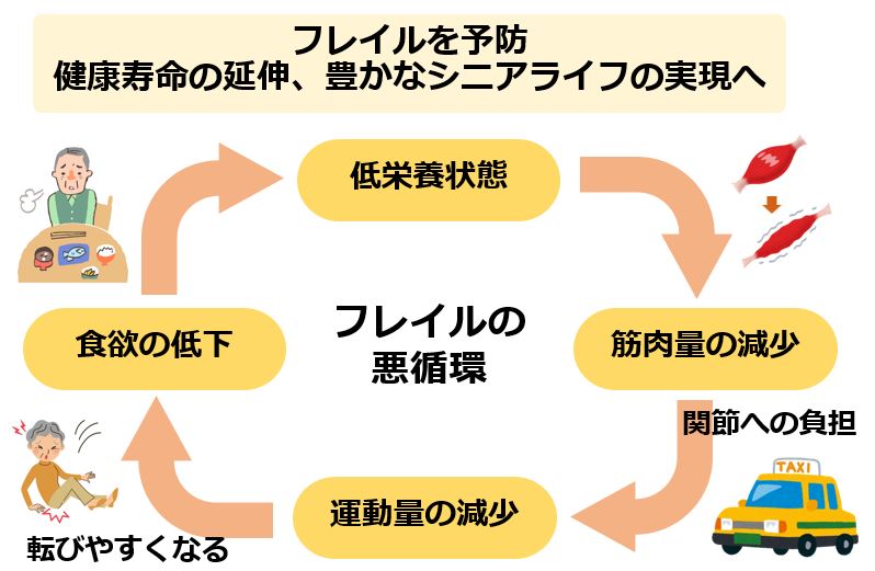 図:フレイルの悪循環