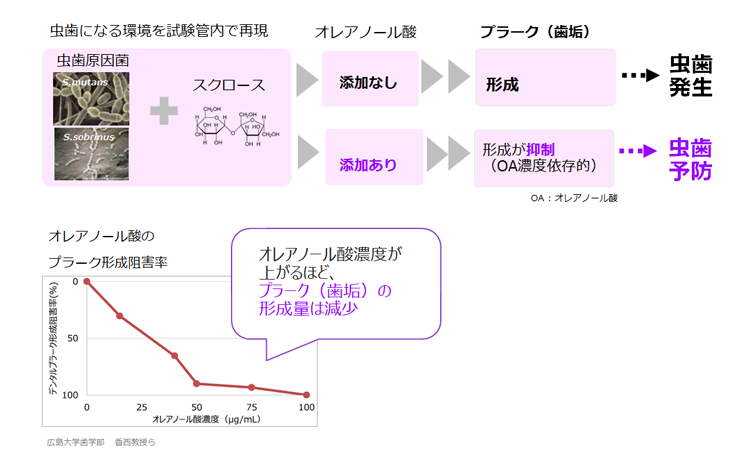 虫歯になる環境を試験管内で再現