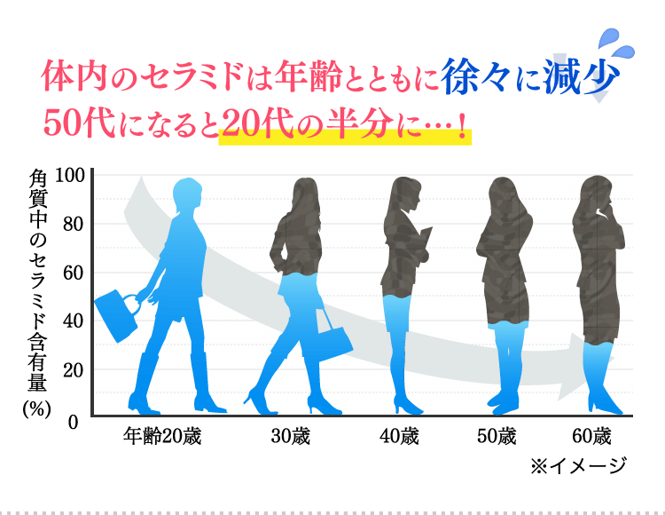 体内のセラミドは年齢とともに徐々に減少 50代になると20代の半分に…！