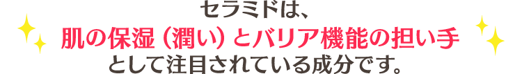 セラミドは､<br>肌の保湿(潤い)とバリア機能の担い手として注目されている成分です｡