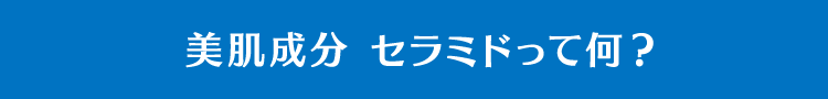 美容成分 セラミドって何？