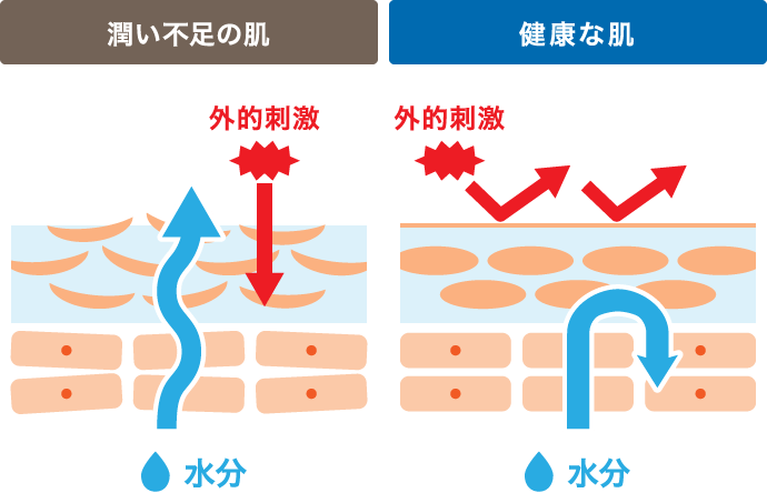 潤い不足の肌 健康な肌