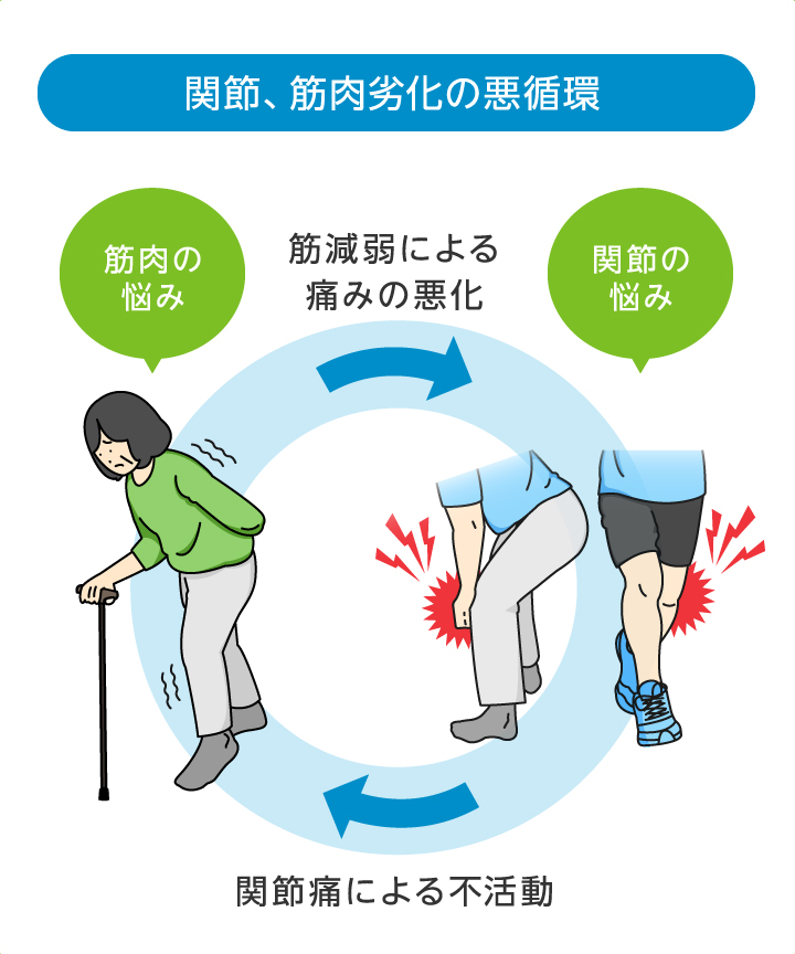 関節､筋肉劣化の悪循環 筋減弱による痛みの悪化 関節痛による不活動