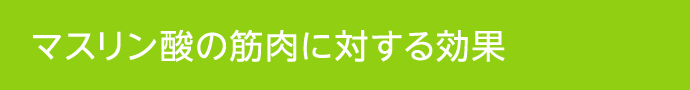マスリン酸の筋肉に対する効果
