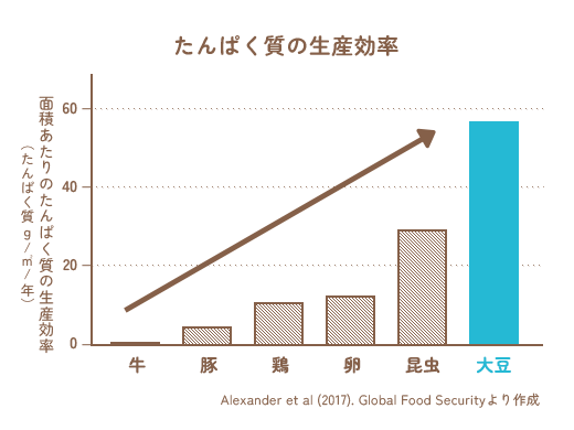 お肉との比較表