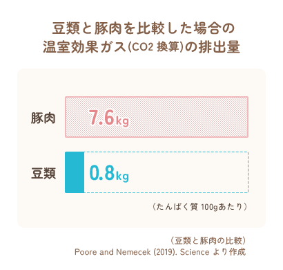 お肉との比較表