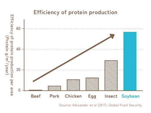 Chart : Efficiency of protein production