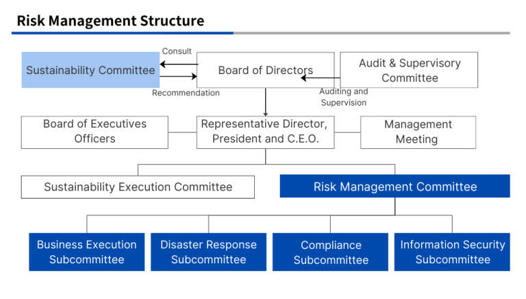 Rsik Management Structure