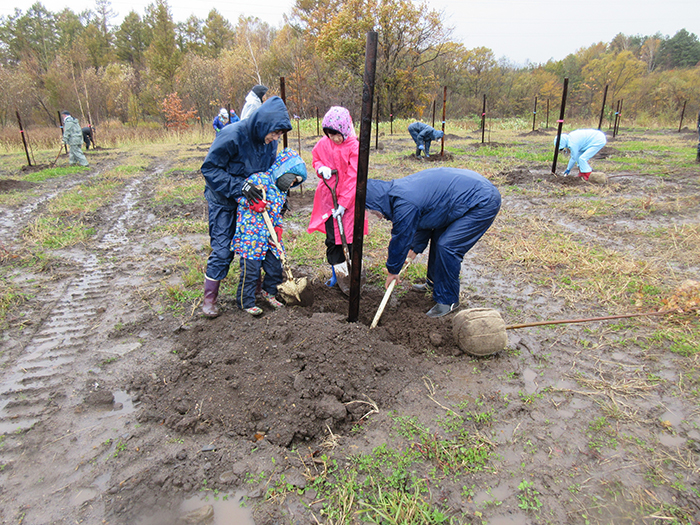 Tree Planting Festival