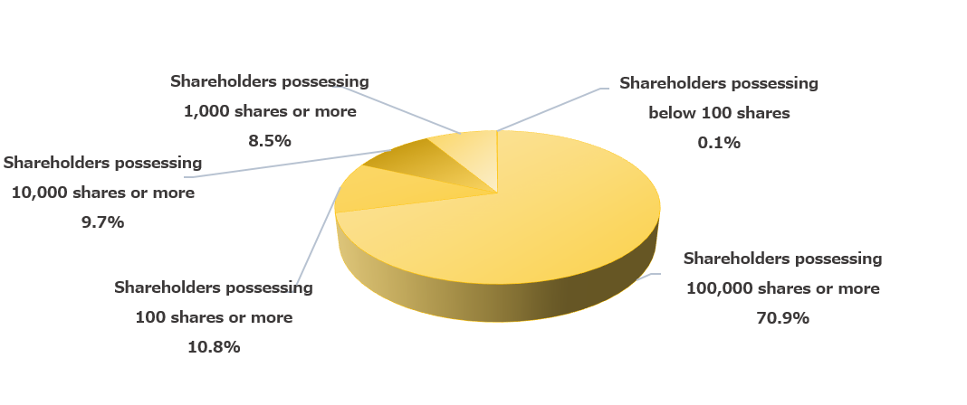 Distribution by Number of Shares