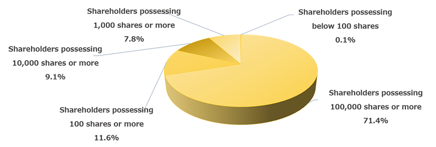 Distribution by Number of Shares