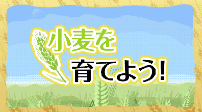 小麦を育てよう