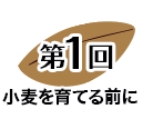 第１回 小麦を育てる前に