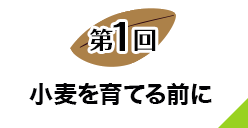 第１回 小麦を育てる前に