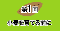 第１回 小麦を育てる前に