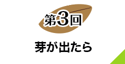 第３回 芽が出たら