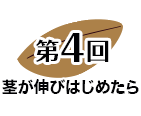 第４回 茎が伸びはじめたら