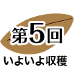 第５回 いよいよ収穫