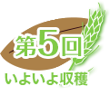 第５回 いよいよ収穫