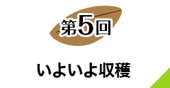 第５回 いよいよ収穫