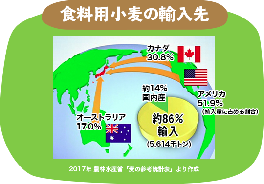 食料用小麦の輸入先