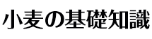 小麦の基礎知識