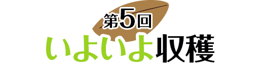 第５回 芽が出たら